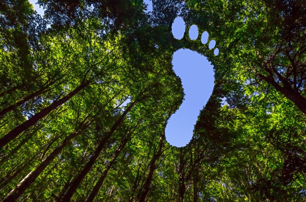 Footprint Green Environment Shutterstock